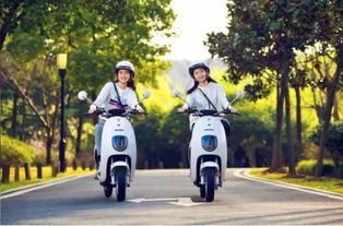 4月15日后電動車、三輪車上牌指南 你最關心的問題都在這