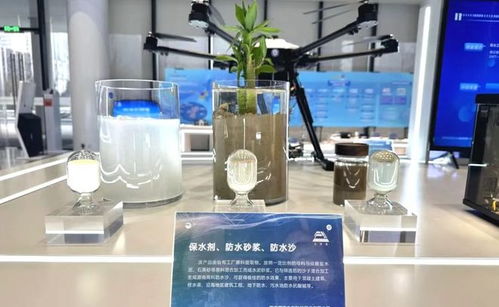 全球首創！